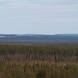 panorama tajgi